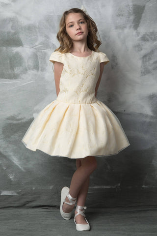 Genevieve 262 Pleated Short Dress with Organza Overlay