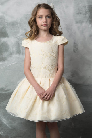 Genevieve 262 Pleated Short Dress with Organza Overlay