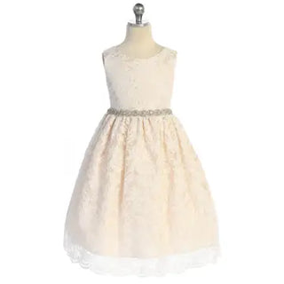 Rosa (526A) Flower Girl Dress