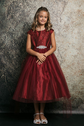 Zuri 299-109 Embroidery, Glitter Mesh Dress With Sash Sizes 2-12