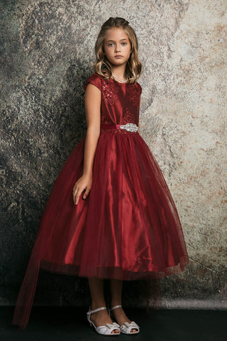 Zuri 299L-109 Embroidery, Glitter Mesh Dress With Sash Sizes 14-16