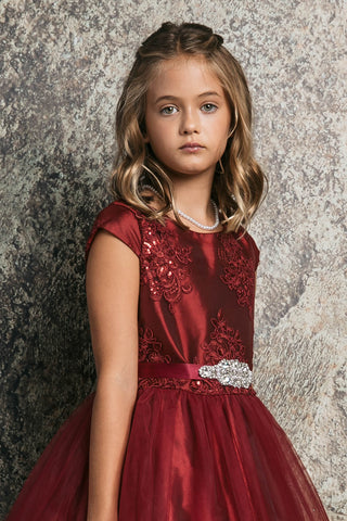 Zuri 299-109 Embroidery, Glitter Mesh Dress With Sash Sizes 2-12