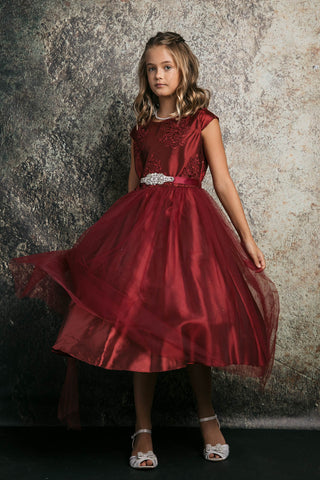 Zuri 299-109 Embroidery, Glitter Mesh Dress With Sash Sizes 2-12