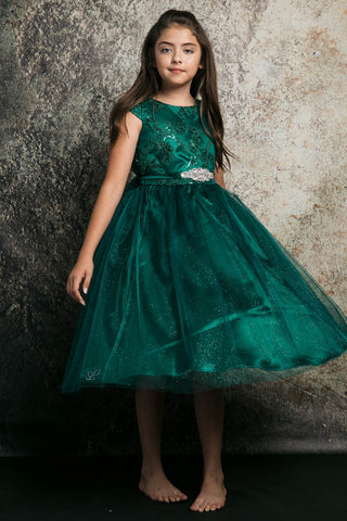 Zuri 299-109 Embroidery, Glitter Mesh Dress With Sash Sizes 2-12